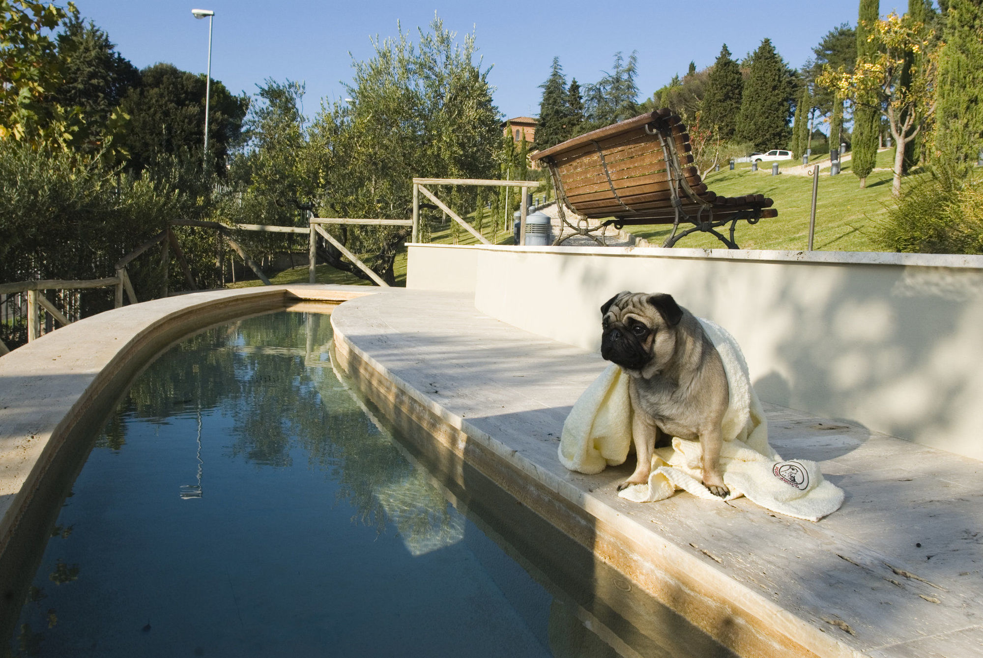 Fonteverde Lifestyle & Thermal Retreat - The Leading Hotels Of The World サン・カシャーノ・デイ・バーニ 設備 写真 A dog at a swimming pool